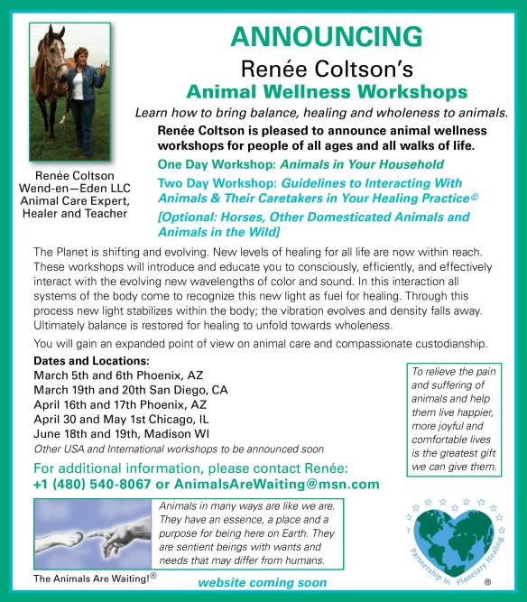 eblast flyer animal wellness final